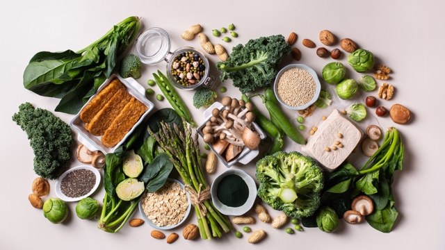 plant protein